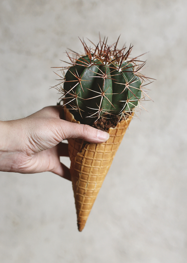 cactus ice cream