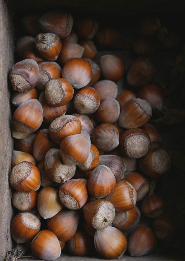 hazelnuts